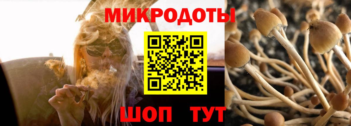 Галлюциногенные грибы Psilocybe  Псилоцибиновые грибы прущие грибы  Вход с VPN  Химки 